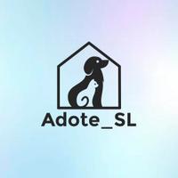 Adote São Lázaro