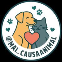 Causa Animal Guaramirim/SC