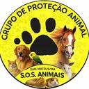 Proteção Animal de São Mateus/MA