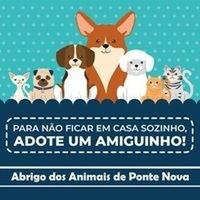 Abrigo dos Animais
