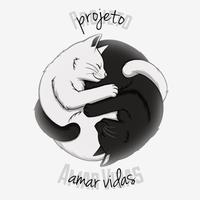Resgate de Gatos Paraíba - João Pessoa