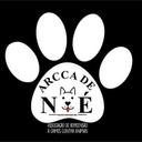 Arcca de Noé