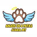 Associação Anjos de Quatro Patas Juara/MT