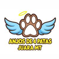 Associação Anjos de Quatro Patas Juara/MT
