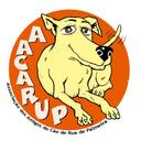 Aacarup Oficial