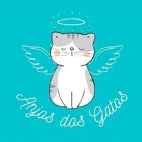 Anjos dos Gatos