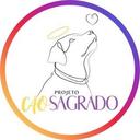 Projeto CãoSagrado