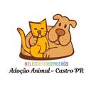 Adoção Animal - Castro/PR