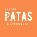 Quatro Patas Adoção Animal