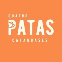 Quatro Patas Adoção Animal
