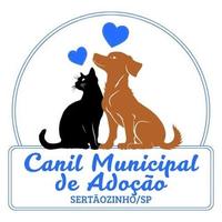 Canil Municipal de Adoção Sertãozinho/SP