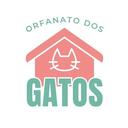 Orfanato dos Gatos
