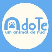 Adote um Animal de Rua