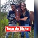 Amanda Daiha - Toca do Bicho