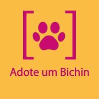Adote um Bichin