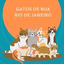 Gatos de Rua Rio de Janeiro