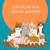 Gatos de Rua Rio de Janeiro