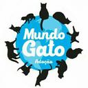 MundoGato