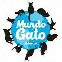 MundoGato