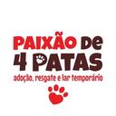 Paixão de 4 Patas Projeto Voluntário