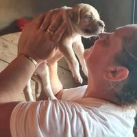 Cleo Moura Protetora dos Animais