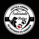 Salvando Patas São Paulo/SP