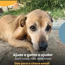 Raça Pra Quê Viamão/RS