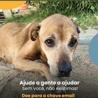 Raça Pra Quê Viamão/RS