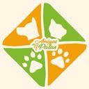 Associação Amigos de 4 Patas