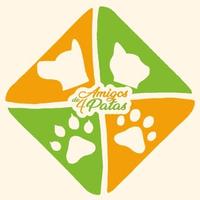 Associação Amigos de 4 Patas