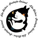Associação Like Bichos