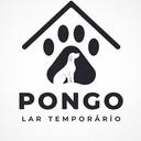 Pongo Lar Temporário