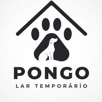 Pongo Lar Temporário