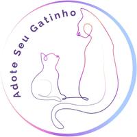 Adote Seu Gatinho