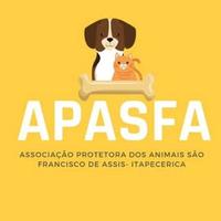 APA Itapecerica