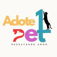 Adote 1 Pet