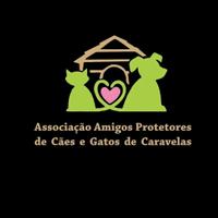 Cães Gatos de Caravelas/BA