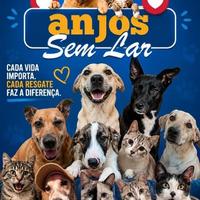 Anjos sem Lar Lutando pelos Direitos dos Animais
