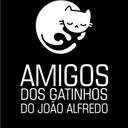 Gatinhos do João Alfredo