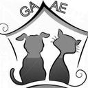 GAAE