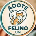 Adote um Felino