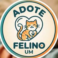Adote um Felino