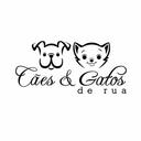 Cães e Gatos de Rua SLZ