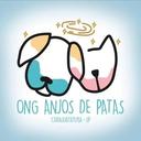Anjo de Patas