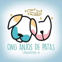Anjo de Patas