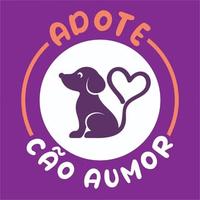 Adote Cão AUmor