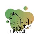 4 Patas Cambé