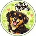 Adota Lajeado