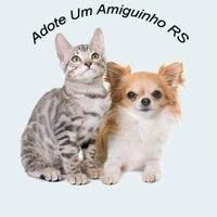 Adote um Amiguinho RS