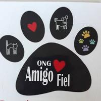 Amigo Fiel